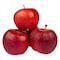 4 Apple Mix Pack
