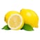 Sharbatly Lemon Punnet 1 kg