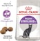 Royal Canin Fhn Feline Health Nutrition Kitten Sterilised 2Kg Cat Dry Food
