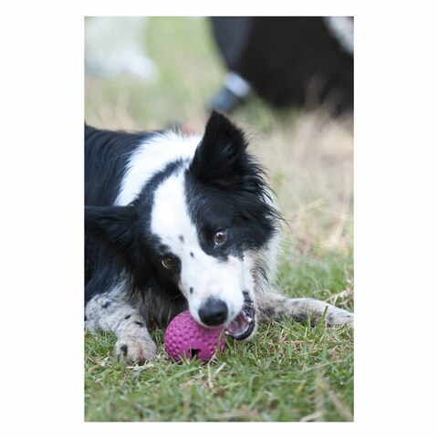 Rogz Gumz Dog Treat Ball Medium 6.4cm Pink