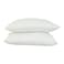 Cannon Polyester Fiber Pillow Queen White 20x30inch