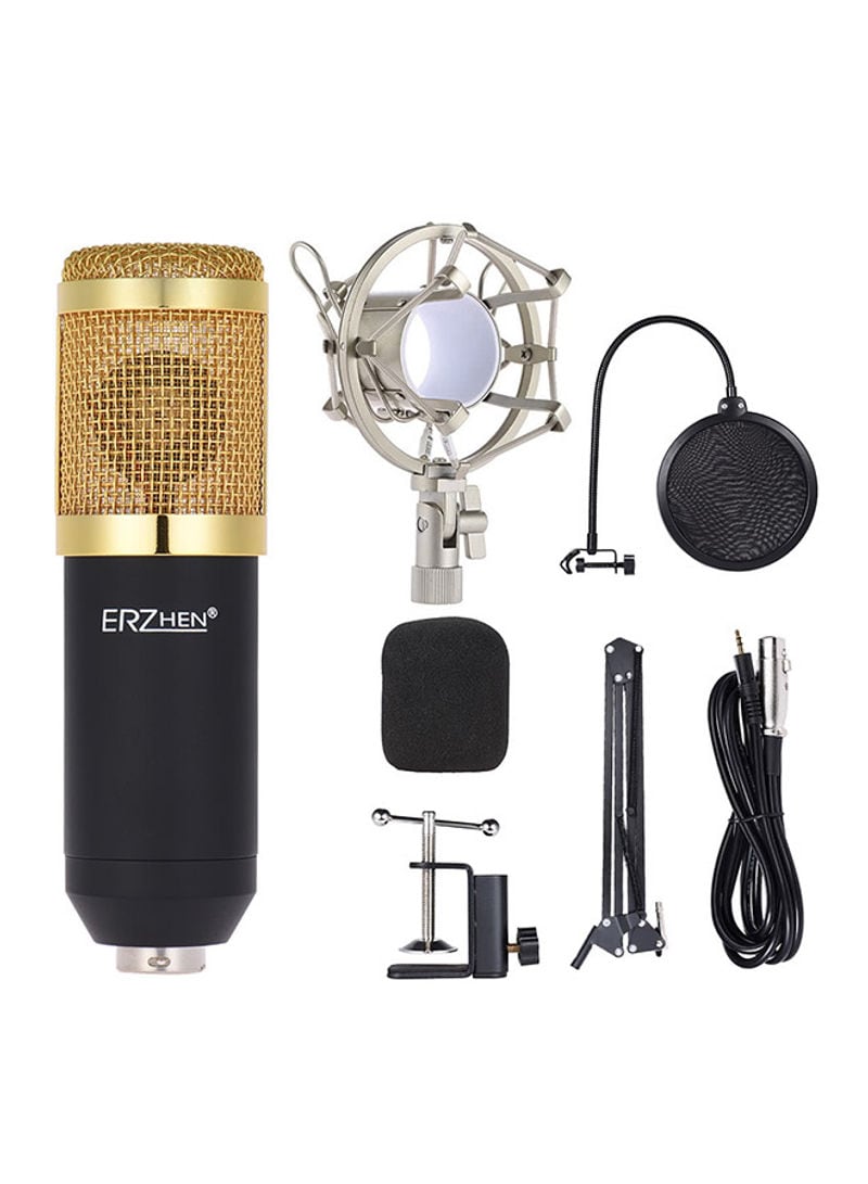Buy Generic Condenser Microphone Kit 1389816 Gold/Black/Silver Online ...