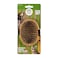 Bamboo Palm Brush - Bristle