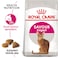 Feline Health Nutrition Savour Exigent 4 KG