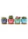 Generic 4 Pcs Ceramic Flowerpot Set Succulent Plant Pots Nordic Simple Style Design Planter Cactus Flower Pot With Tray Home Garden Decor Gift