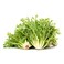 Lettuce Frisee 1pc
