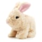 Pugs At Play Cookie Jumping Rabbit Plush Toy Beige