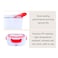 Generic-Multi-functional Portable Electric Heating Lunch Box Food Heater Rice Container Food Warmer with Removable Container Car Plug