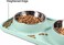 Cat Food Bowls, Cat Bowls Non-Skid and Non-Spill Silicone Mats with Stand, Removable Stainless Steel Food and Water Dishes for Cats, Small Size Dogs