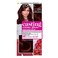L'Oreal Paris Casting Creme Gloss 2.46 Black Henna