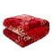 STARGOLD Blanket Single Ply Super Soft Luxury Cloudy Blanket Two Side Different Design 220*240CM 2.4KG, SG-BLC602