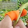Generic-Thumb Cutter Silicone Thumb Knife Separate Rubber Finger Cot for Picking Vegetables Strawberries Grapes Picking Device for Garden Harvesting