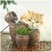 Aiwanto Cat Pet Water Fountain Cat Water Tank Home Decoration Fountain Cat Water Plate