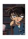 Metal Plate Of The Anime Detective Conan Poster Multicolour