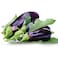 Nedal Organic Eggplant