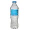 Carrefour Natural Alpes Spring Water 500ml