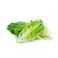 Baby Cos Lettuce