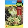 Fito Lettuce Summer Marvel
