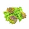 Pure Harvest Mixed Salad 125g