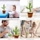 ESSEN Dancing Singing Talking Cactus Plush Toy - 32 cm