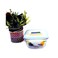 Glasslock Square Food Container With Lid Clear 400ml