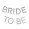 Hen Weekend Bride To Be Hen Party Bunting Silver