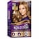 Wella Koleston Permanent Hair Color Kit 7/3 Hazelnut
