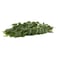 Curry Leaves Bunch Pc