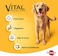 Chicken Chunks in Gravy, Wet Dog Food, Can, 400 gm