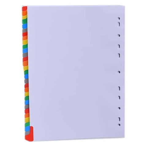 Mintra Mylar Dividers - 1-31