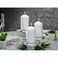 Bolsius Professional Pillar Candles, Tray of 12 Candles - 120/58mm, White