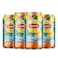 LIPTON ICE TEA PEACH Z CA 320ML 5+1