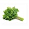 Parsley Bunch