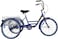 Benotto Adult Tricycle with Basket 24 inch - Made in Taiwan