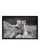 Spoil Your Wall Tiger Cub Framed Poster Multicolour 55x40cm