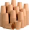 Lavish 16 Oz Kraft Paper Compostable Disposable Cups 1000 Pcs, Hot Or Cold Beverage Drinking