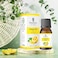 Beauty Voc Essential Lemon Oil Pure &amp;Herbal Oil - 30ML