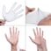 Lavish Disposable Gloves Latex-Free Clear Vinyl Small Size Gloves [100-Count] Powder-Free Dispenser Box Gloves 100 Pieces