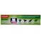 Colgate Herbal Toothpaste 100 gr