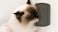 Catit Senses 2.0 Self Groomer