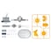 4M Hybrid Solar Engineering / Aqua Robot