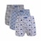 Cottonil Boxers - 3 Pieces - Size 4 - Printed