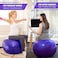 Sky-Touch Yoga Ball Anti-Burst, Exercise Ball With Air Pump Thickened Stability Balance Ball For Physical Fitness Exercise