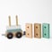 Woody Buddy - Train Stacker Pull along - Green