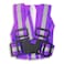 Spartan Reflective Vest Purple