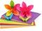 Lavish Premium Quality 100 &amp; 250 Sheets Color Paper Double For Printing And Diy Art &amp; Craft Assorted Color