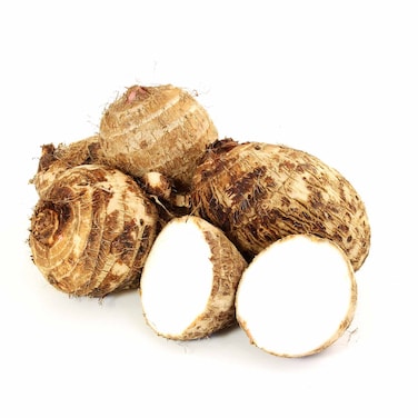 Indian Colocasia Big