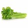 Celery Import