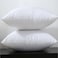 Comfy Set of 2 Cotton Cushion - White