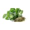 Nabat Fresh Greek Oregano - 25gm